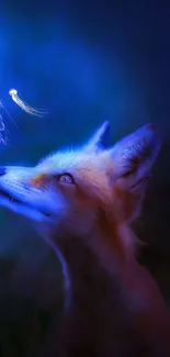 Mystical fox gazing at glowing jellyfish in a dark blue wallpaper.