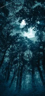 Mystical moonlit forest with towering trees.