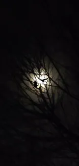 Silhouette of a bird against the full moon and dark branches.