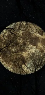 A full moon with tree silhouettes against a starry night sky.