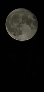 Full moon with lunar details against a black sky.