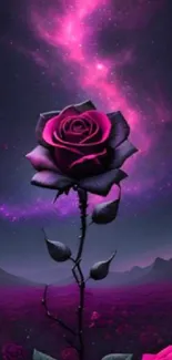 A galaxy-themed rose with a cosmic backdrop.