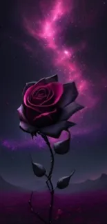 Galaxy-themed rose with starry background.