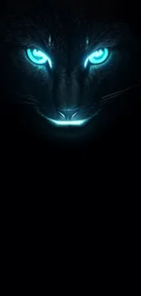 A mystical cat with glowing blue eyes in a dark setting.