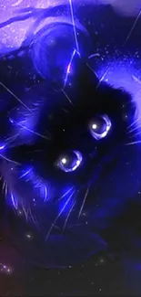 Mystical glowing cat in purple hues wallpaper.