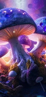 Vibrant glowing mushrooms in a mystical fantasy forest wallpaper.