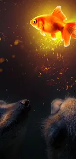 Glowing goldfish and meerkats in fantasy scene wallpaper.