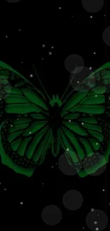 Green butterfly against a dark starry background.