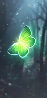 A glowing green butterfly in a dark mystical forest wallpaper.