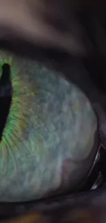 Close-up of a mystical green eye with vibrant hues and abstract patterns.