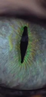 Close-up of a mystical green eye with vibrant detailing.