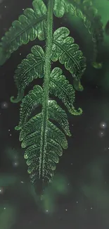 Intricate green fern leaf against a mystical cosmic background.