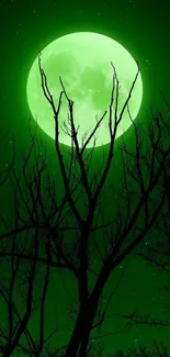 A glowing green moon with silhouetted trees against a starry night sky.