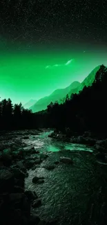 Dark green night forest with vibrant aurora