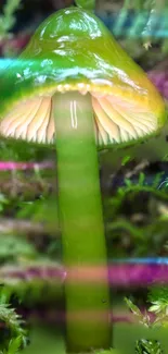 Mystical green mushroom glowing in vibrant nature setting.