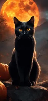 Black cat with glowing eyes in front of a full moon and pumpkins, Halloween theme.