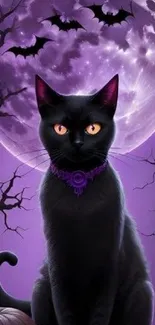 Black cat on purple background with full moon.