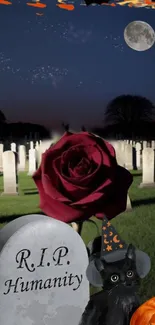 Spooky graveyard with rose, cat, and pumpkins at night