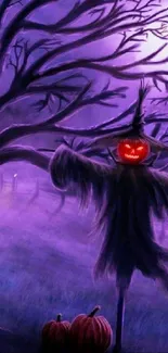 Purple Halloween night wallpaper with scarecrow and pumpkins.