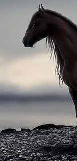 Mystical horse standing by a moody shore with a dramatic gray sky backdrop.