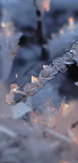 Close-up of delicate ice crystals with a mystical blue hue.