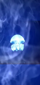 Blue ethereal jellyfish illuminated against dark background.