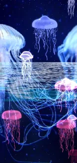 Two glowing jellyfish float gracefully against a dark blue background.