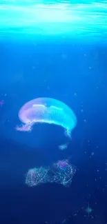 Mystical jellyfish floating in a serene blue ocean wallpaper.