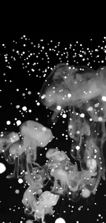 Jellyfish floating against a starry black background, creating a mystical scene.