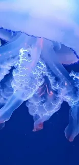 A translucent jellyfish glows against a deep blue ocean background.