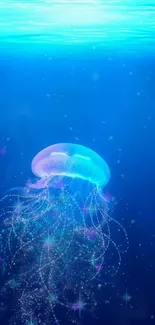 Mystical glowing jellyfish in ocean blue wallpaper.