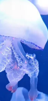 Luminescent jellyfish in deep blue ocean scene.