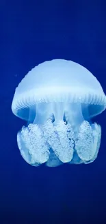 Blue jellyfish glows softly against a deep sea background.