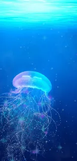 Bioluminescent jellyfish in deep blue ocean wallpaper.