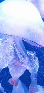 Ethereal jellyfish glowing in mystical blue waters.