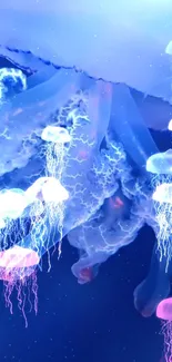 Bioluminescent jellyfish glow in blue and pink hues underwater.