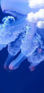 Vibrant blue jellyfish with clouds on dark background.