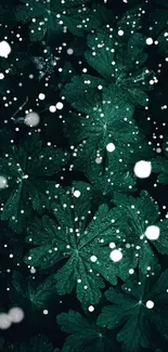 Dark green leaves with snowflakes mobile wallpaper.