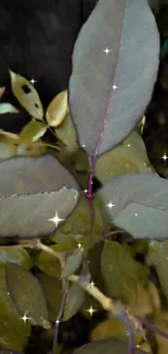 Mystical leaves with sparkling highlights on dark green background.