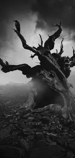 Monochrome landscape with gnarled tree under dramatic sky.