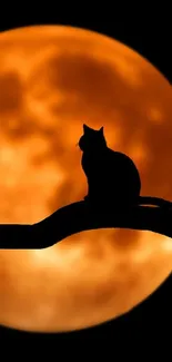 Silhouette of a cat on a branch with a luminous orange moon in the background.