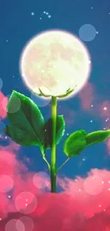 Moon flower with pink cloud background wallpaper.