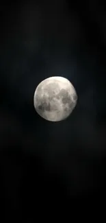 A bright full moon against a dark black sky, creating a mystical night scene.