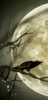 Raven perched against a glowing moon backdrop.