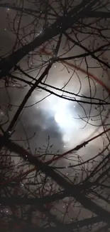 Moonlit branches under a cloudy night sky, creating a mystical atmosphere.