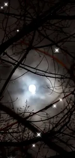 Moonlit branches against a dark, cloudy sky with a mystical glow.