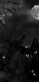 Black cat beneath a full moon in a dark, misty forest night setting.