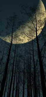 Moonlit forest with crescent moon and towering trees, creating an eerie night scene.