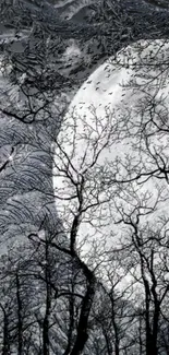 Mystical forest silhouette with moonlit sky.