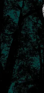 Moonlit night forest with trees silhouetted against a teal sky.